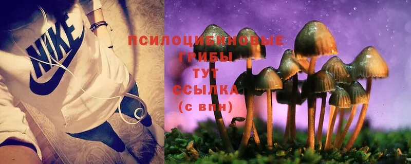 Галлюциногенные грибы MAGIC MUSHROOMS  Болгар 